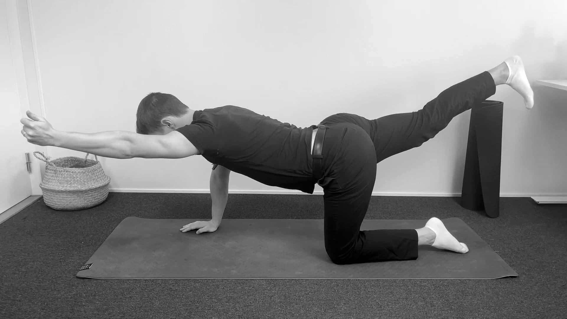 Hand Leg Opposite Lifts On Hands And Knees