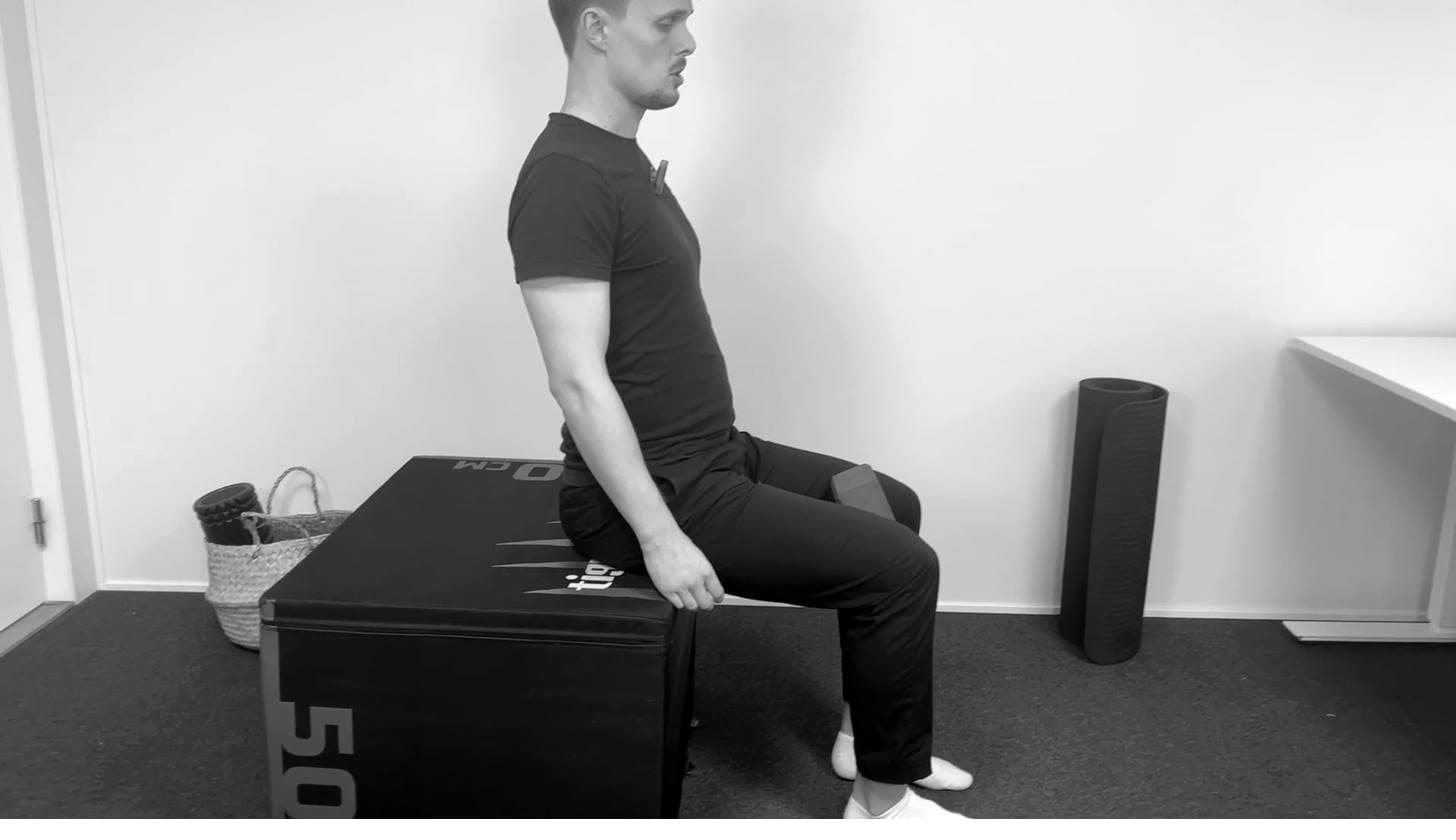 Sitting Knee Squeezes