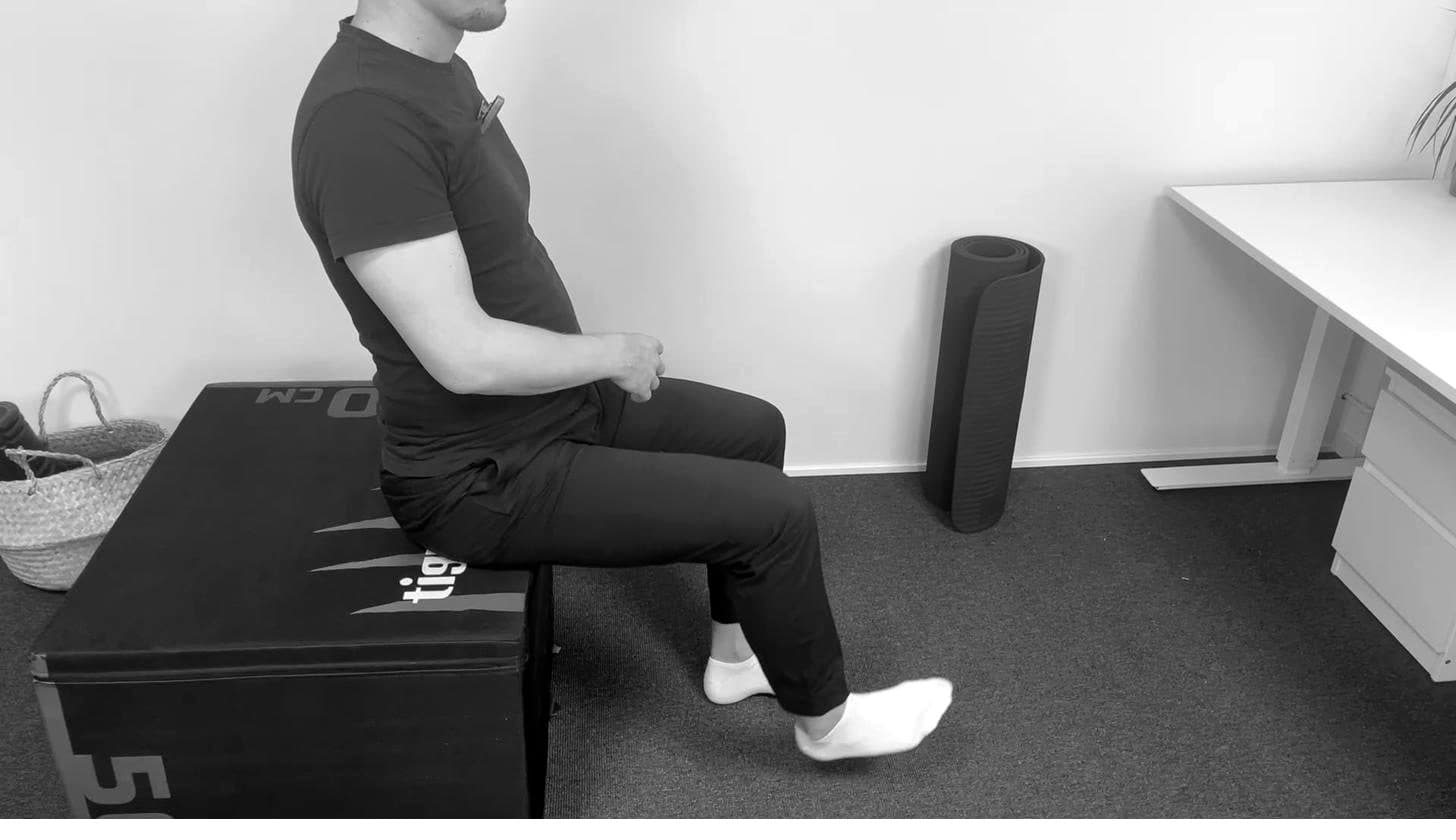 Sitting Single Hip Lifts