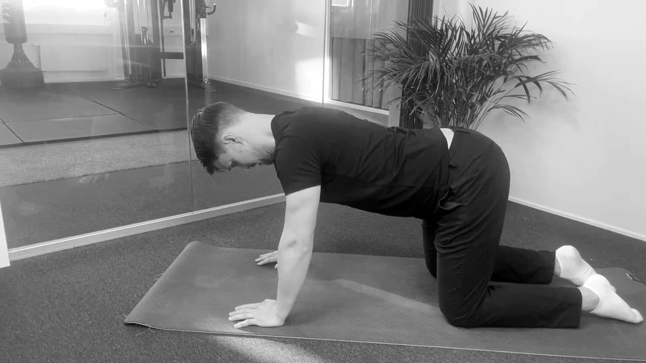 Static Dog Neck Retractions